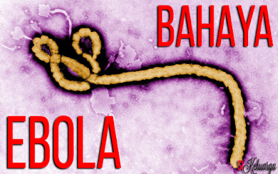 Apa Yang Membuat Virus Ebola Bahaya