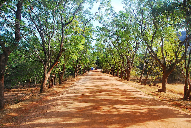 The ancient Sigiriya Rock in Sri Lanka