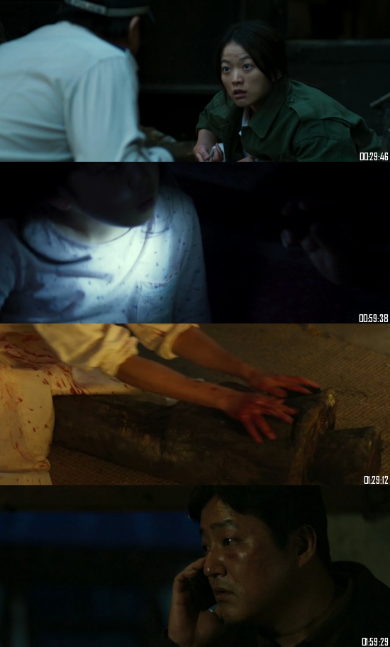 The Wailing 2016 WEB-DL 720p 480p Dual Audio Hindi English Full Movie Download