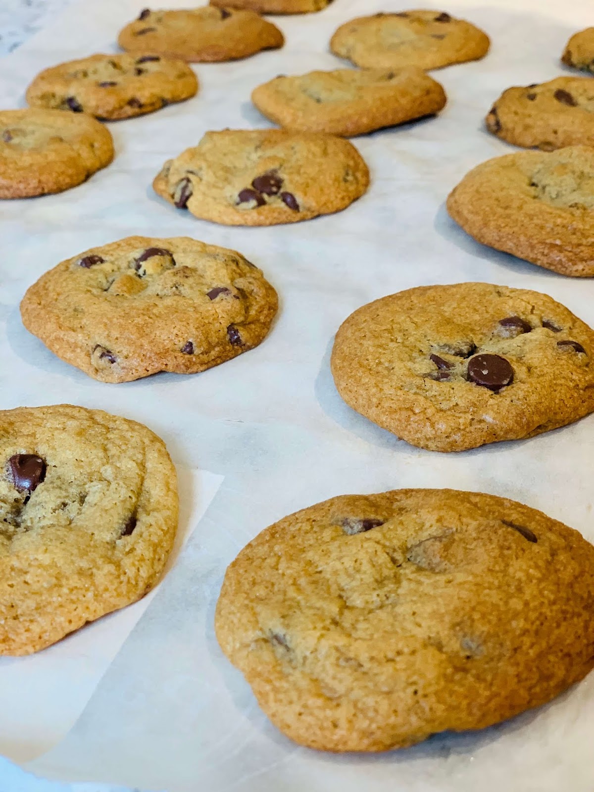 Easy Recipe for Toaster Oven Chocolate Chip Cookies Filipino Parenting
