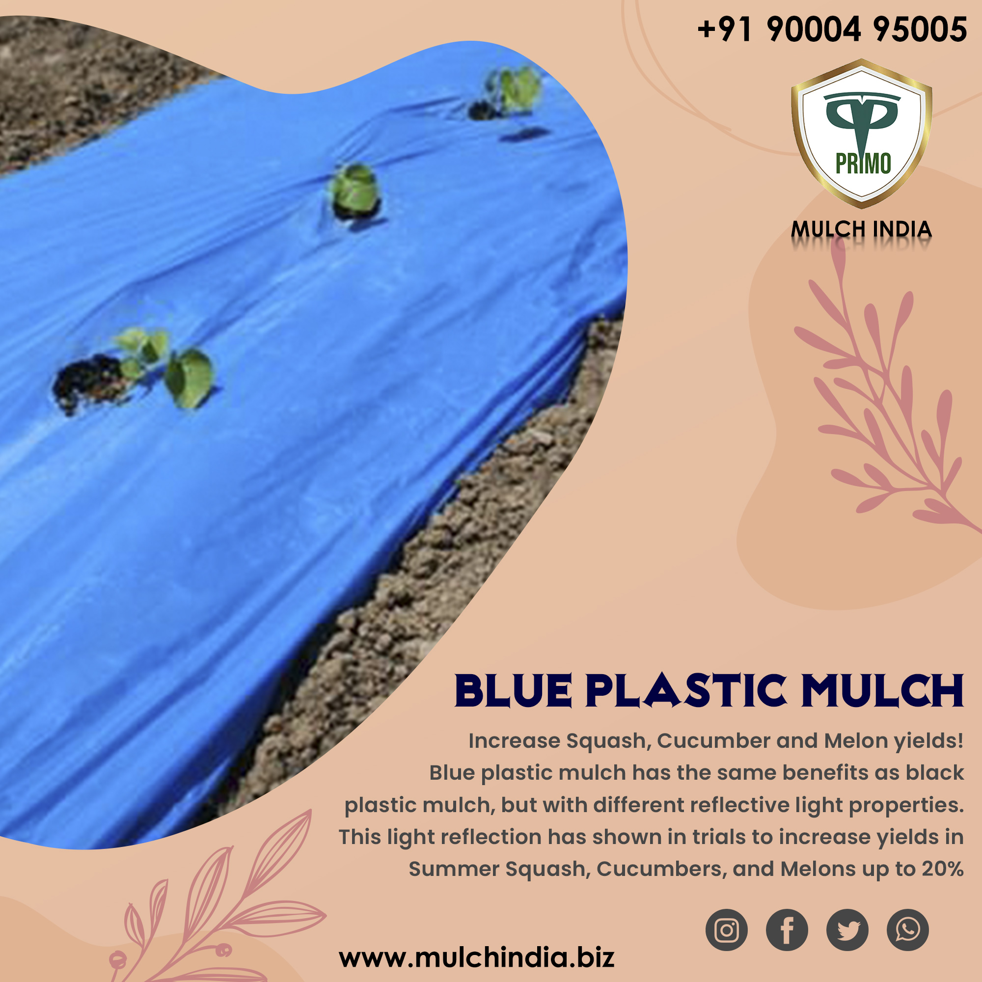 MulchIndia Blue Plastic Mulch Mulch India Call+𝟵𝟭 𝟵𝟬𝟬𝟬𝟰𝟵𝟱𝟬𝟬𝟱 www