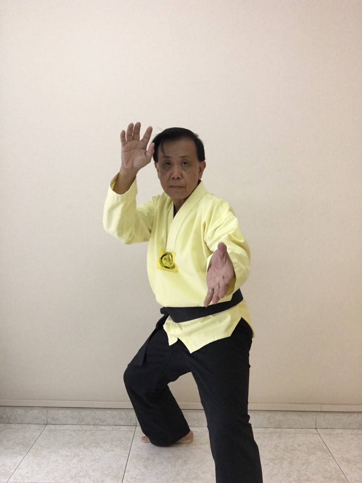 FOUR ELEMENTS OF KUNG FU