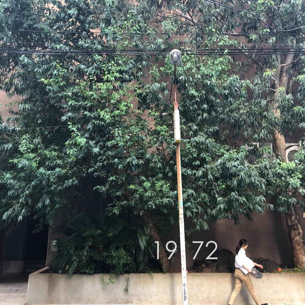 1972 – Goes by the April – Single