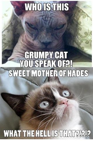 [Image: grumpy-cat-and-evil-cat.jpg]