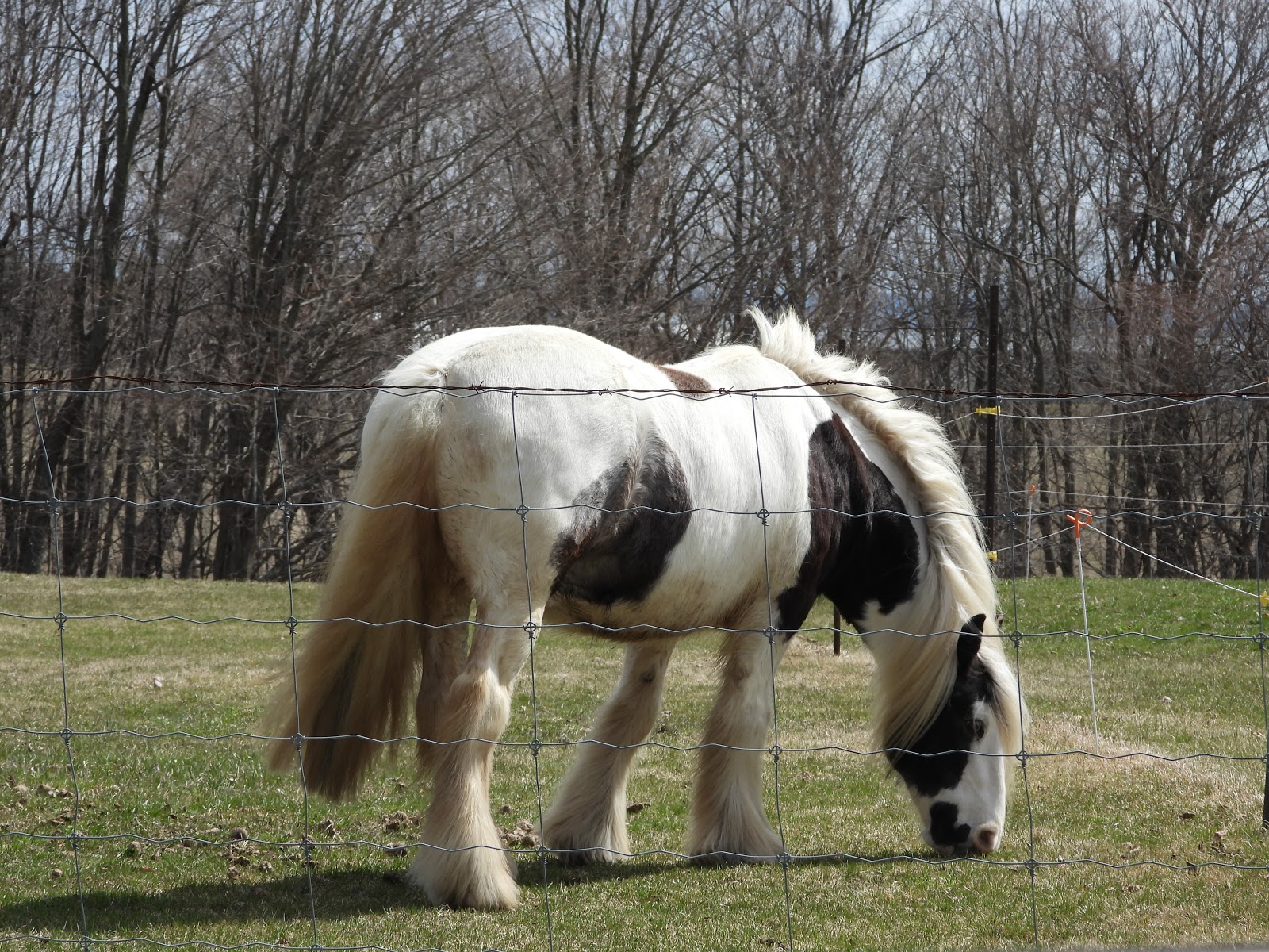 Bird & Travel Photos, Birding Sites,