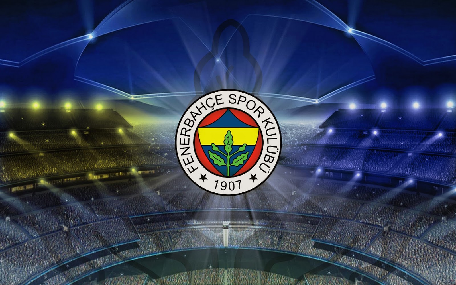 Sarı Lacivert Fenerbahçe Resimleri Rooteto