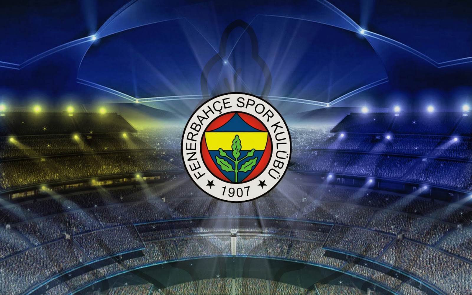 fenerbahce resimleri rooteto16