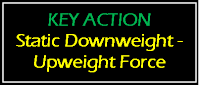 key action static downweight upweight force