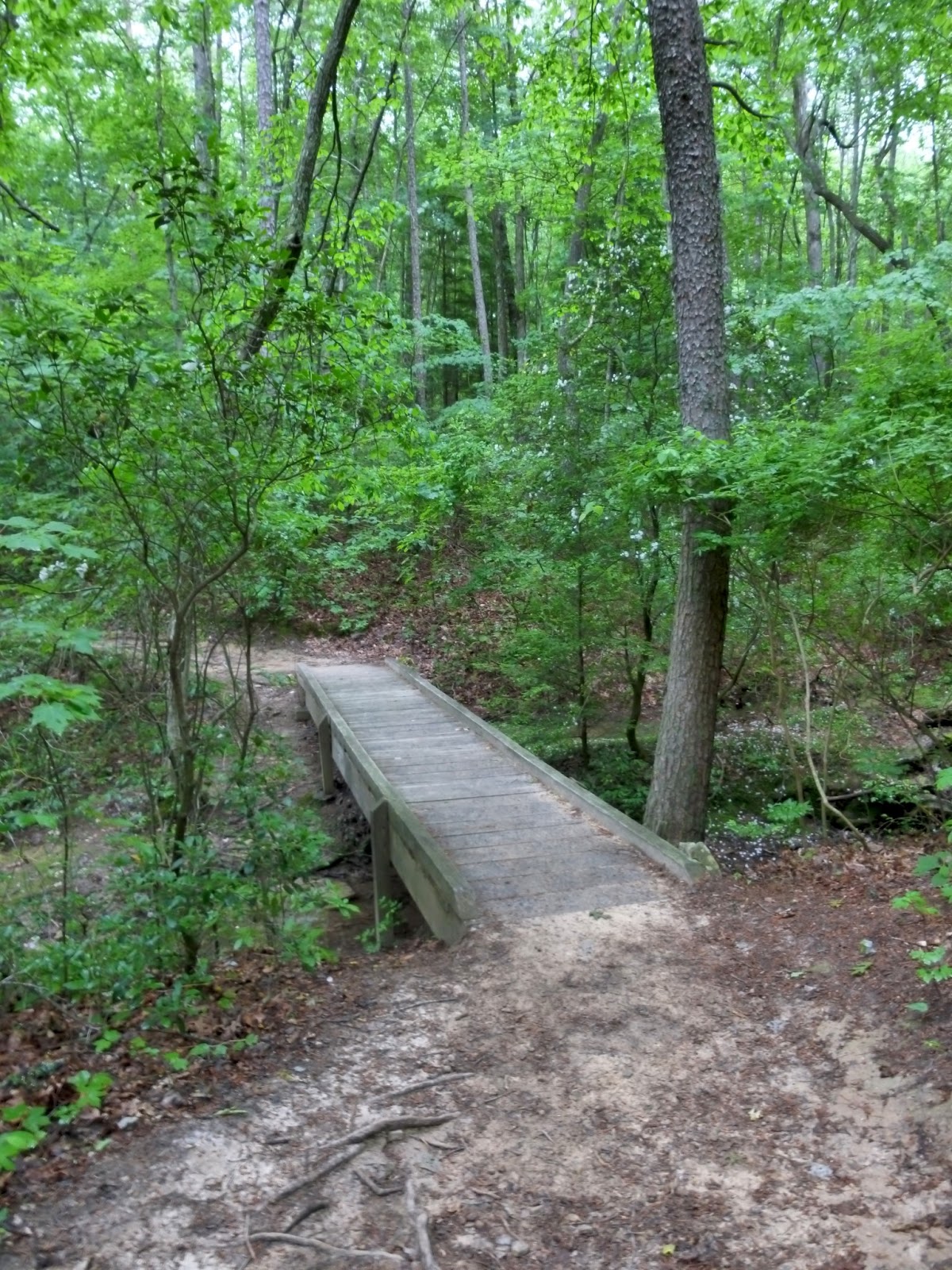 American Travel Journal Laurel Falls And Great Stone Door