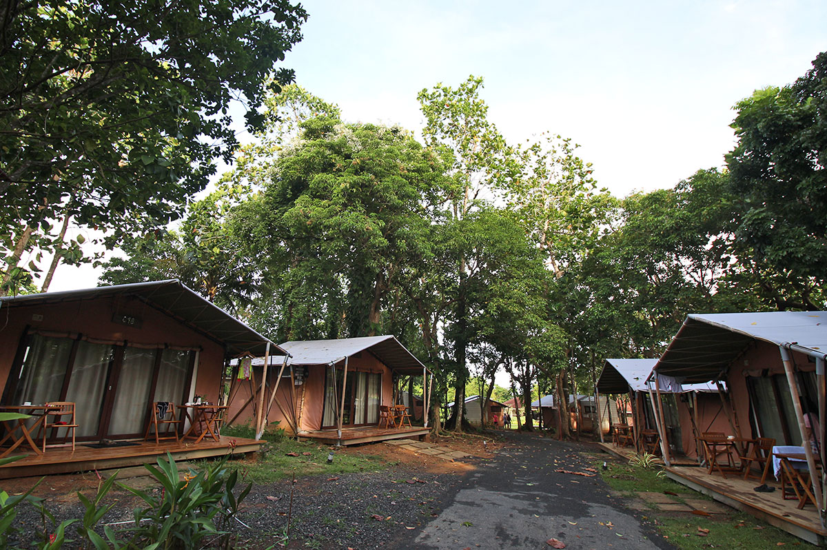 Hotel Feature Solina Beach Nature Resort