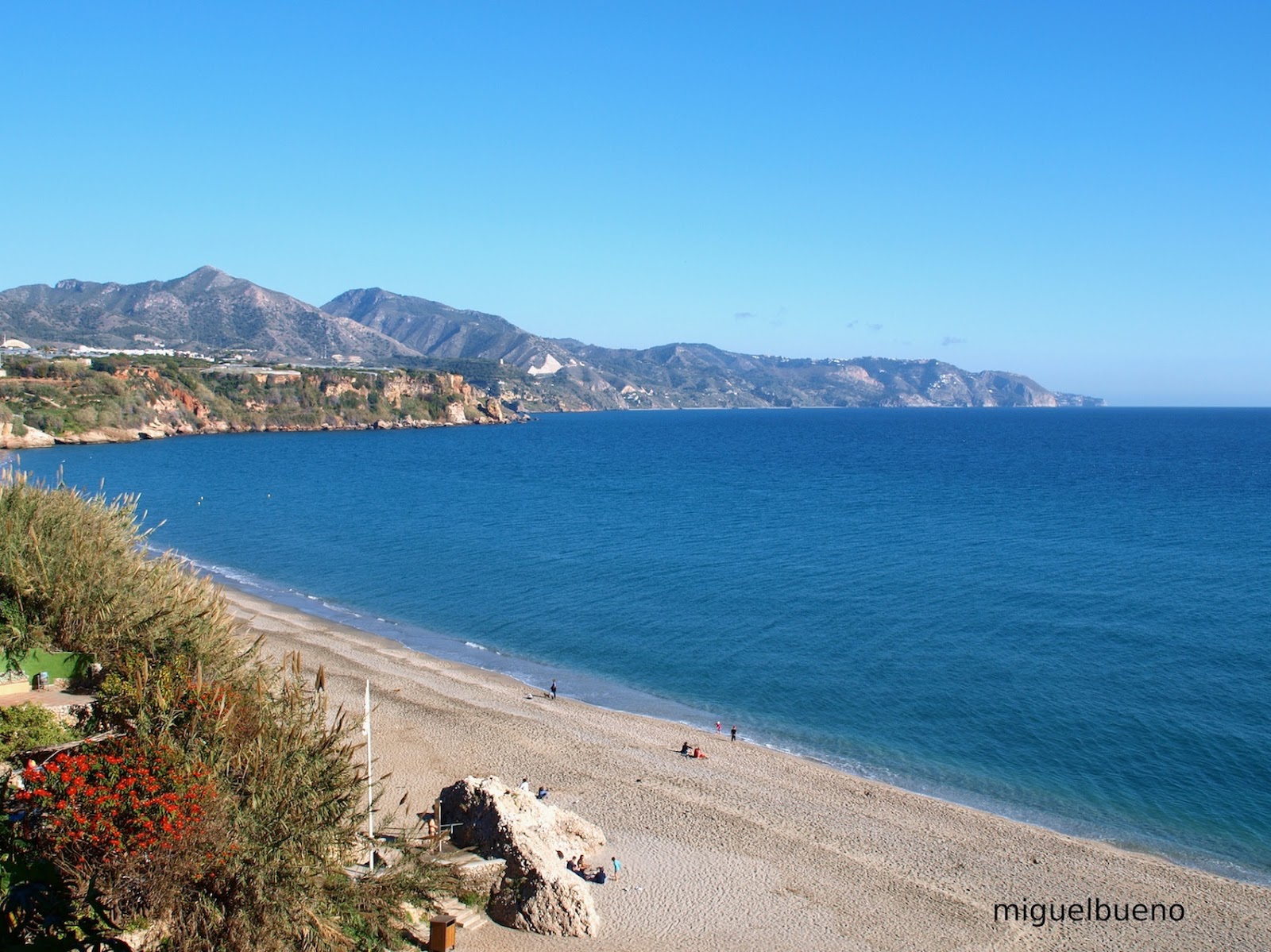 Piedra: Nerja. Flores de enero