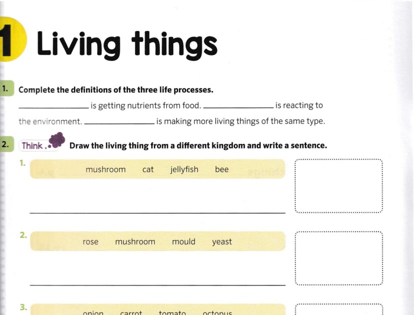 ENGLISH AND SCIENCE CLASS FOR FOURTH GRADE