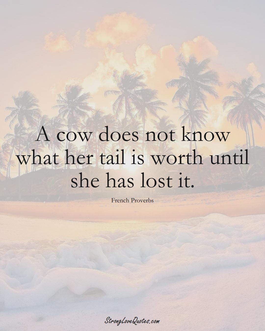 A cow does not know what her tail is worth until she has lost it. (French Sayings);  #EuropeanSayings