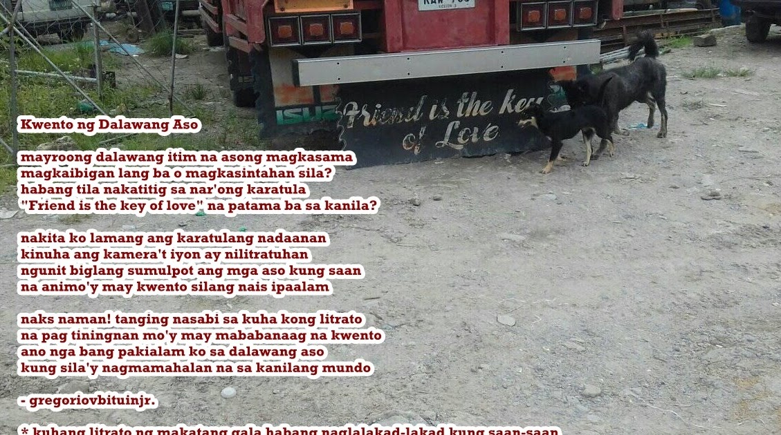 Buhay Manilenyo: Kwento ng Dalawang Aso