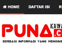 Perjuangan Mendapatkan Full Approve Google AdSense