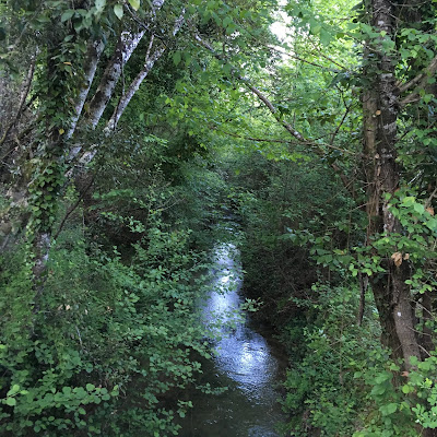 Montagnola senese: sentiero n. 402 nella Riserva Naturale Alto Merse