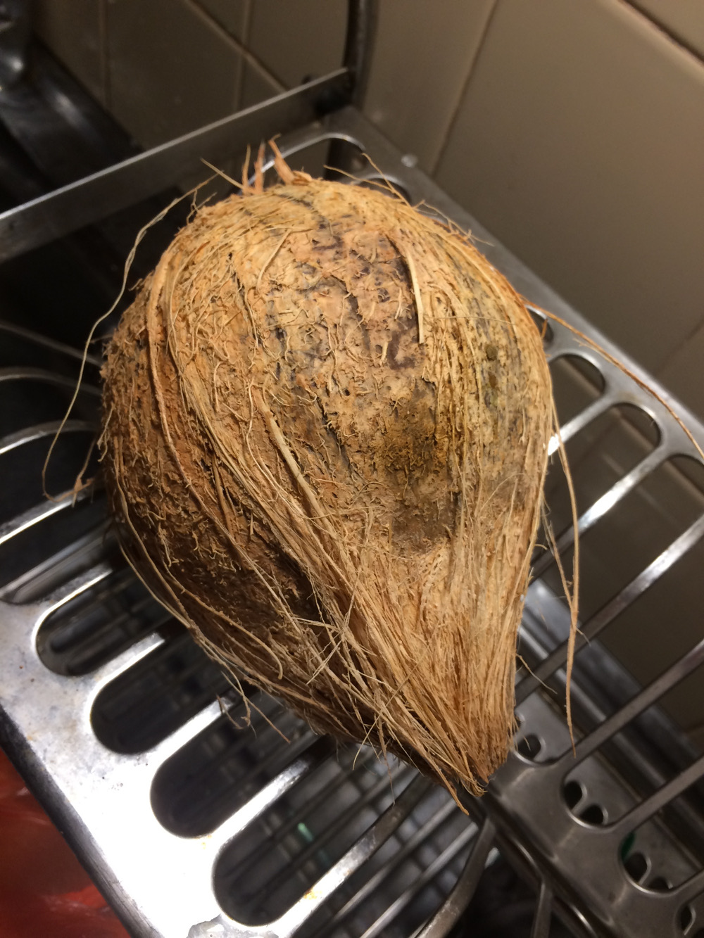 JoJo in Sri Lanka A Lovely Bunch of Coconuts