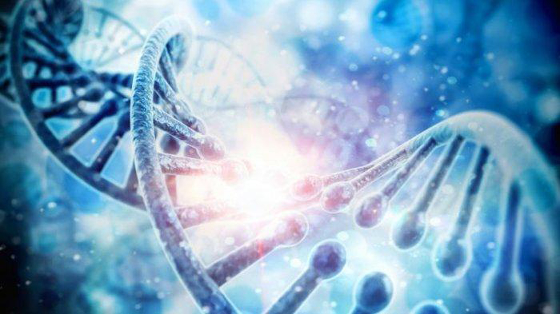 Genetika – Pengertian, Struktur, Substansi, Klasifikasi, Sifat dan Peranan
