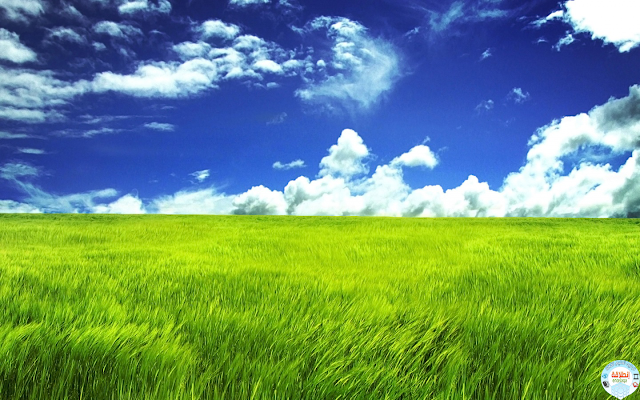 صورة سماء زرقاء وغيوم بيضاء وعشب أخضر جودة عالية 