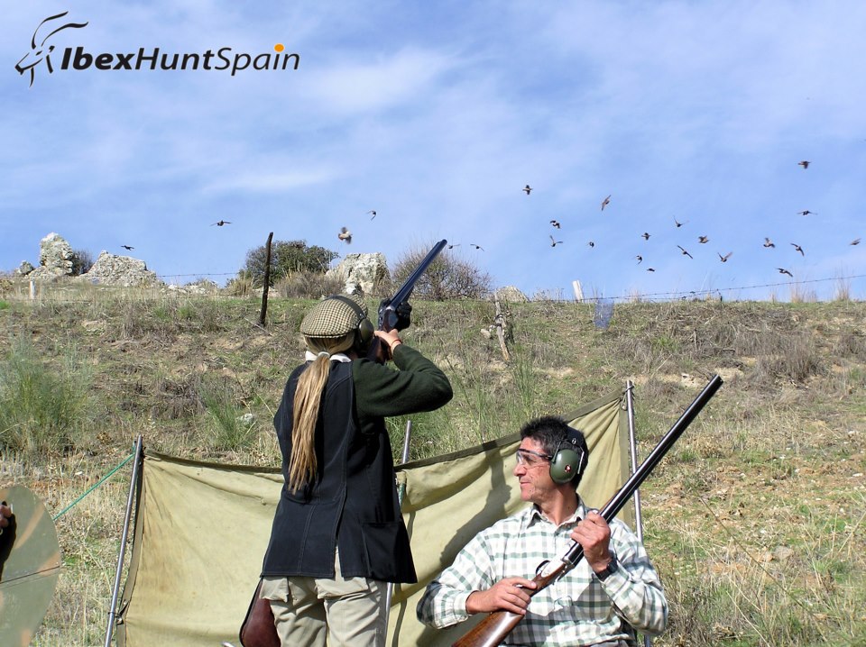 Spanish Ibex Hunts Ibex Hunting in Spain Driven Partridges in Spain