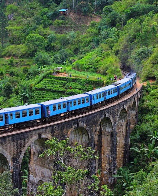 පෙදරේරු අප්පුහාමිගේ - ආරුක්කු 9යේ පාලම 🌉🚇 (Nine Arch Bridge) - Your Choice Way