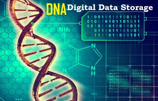DNA digital data storage