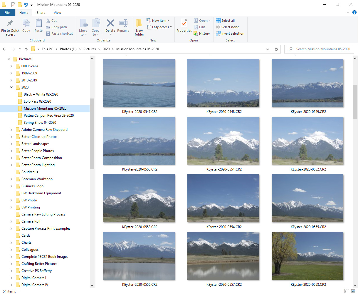 konjugat Bule tirsdag Viewing Raw Files in Windows 10 Explorer