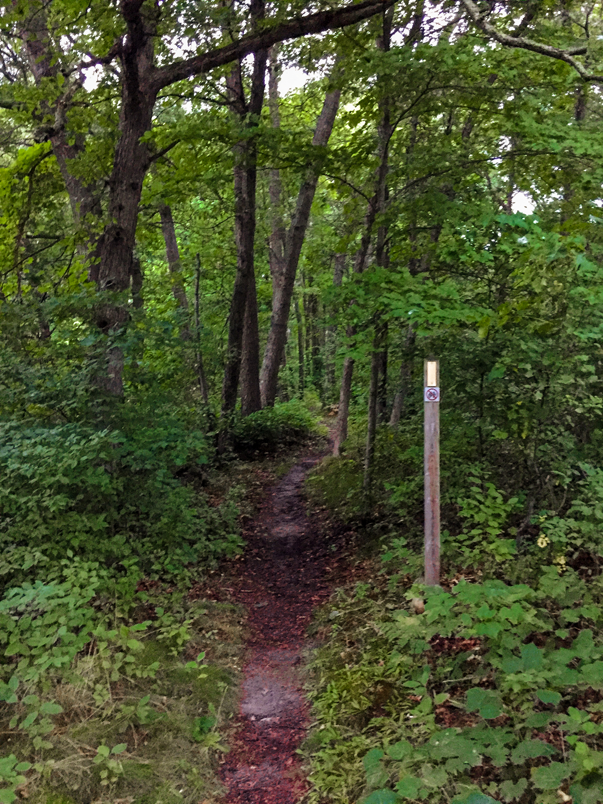 Hiking the Ice Age Trail Skunk and Foster Lakes Segment