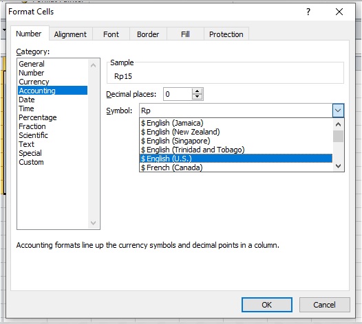 format accounting mata uang dollar