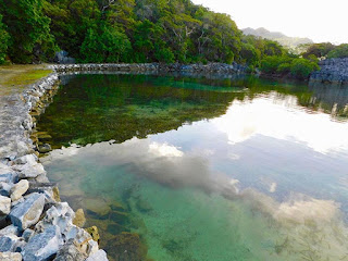 #loveroatan, #payabay, #payabayresort, beauty, buccaneer landing, nature, palapa, paya bay resort, 