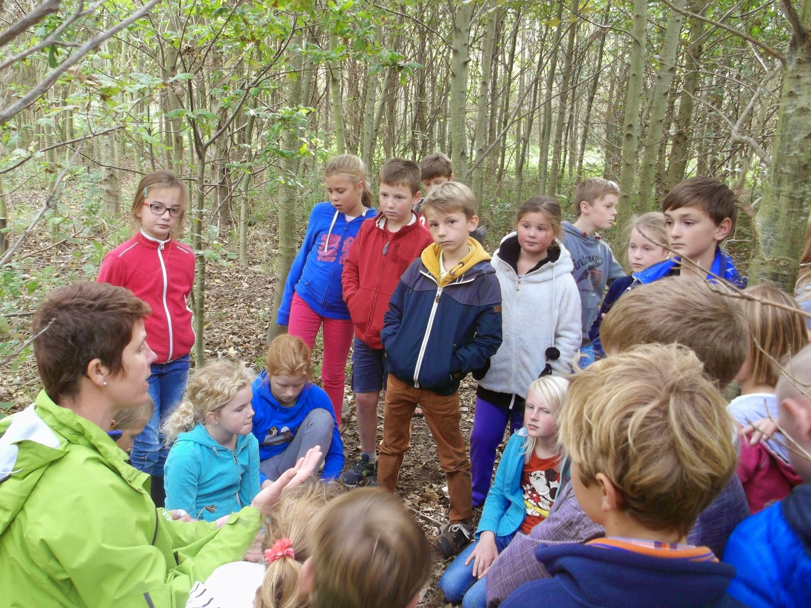 Het Boompje - meester Nico: Naar het bos in Zandvoorde