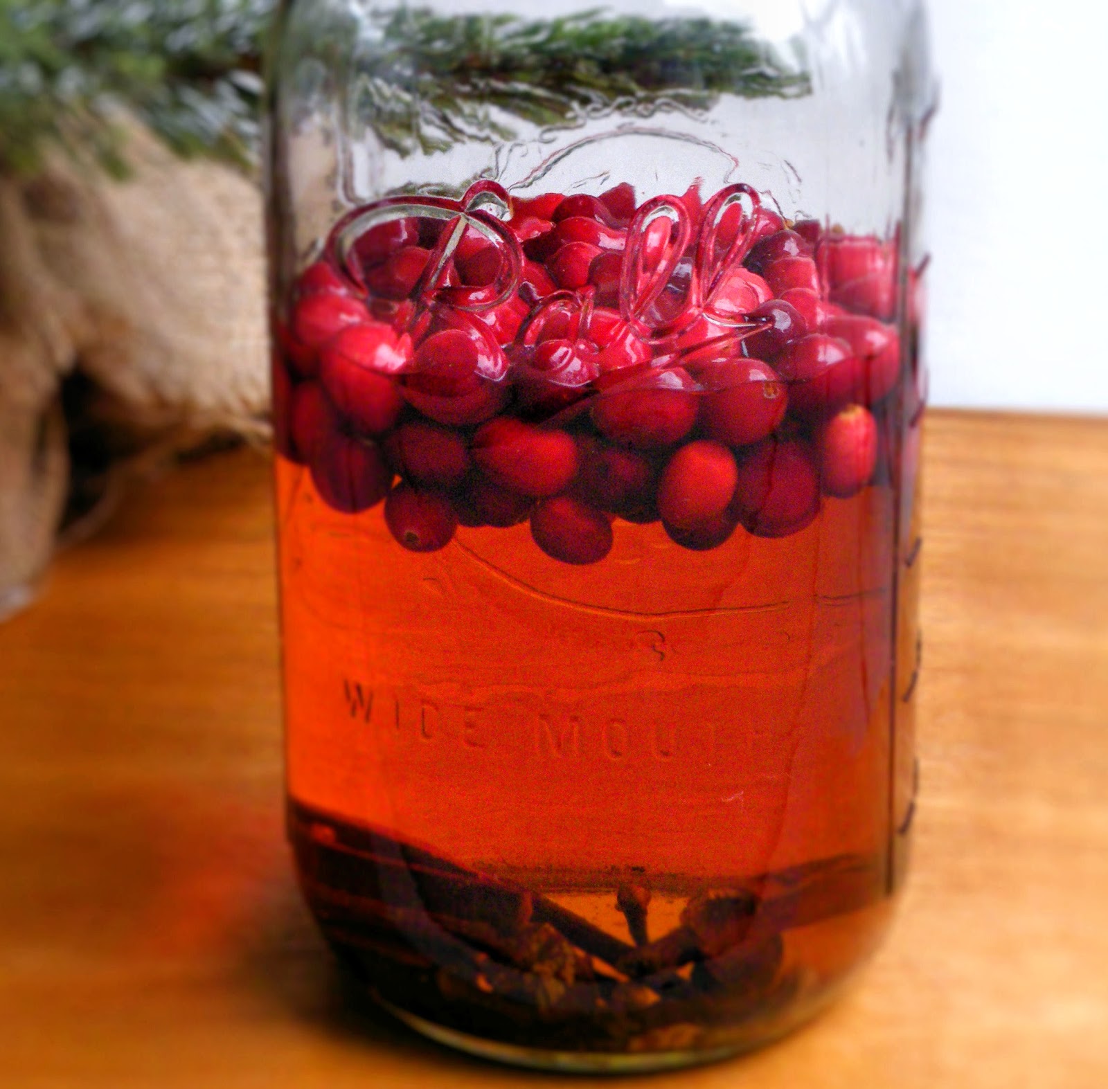 Vittles and Bits Cranberry Spice Infused Vodka