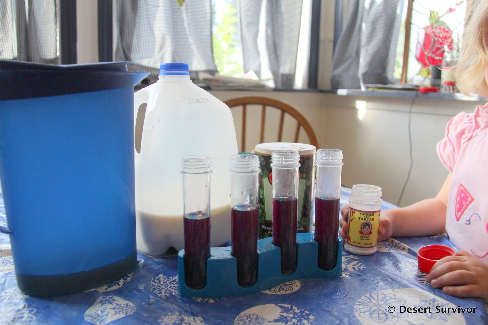 Desert Survivor The Red Cabbage Juice Science Experiment