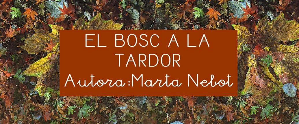 P-5 FES CLIC I APRÈN ! ! ! CURS 2015-2016: 31- EL BOSC A LA TARDOR ...
