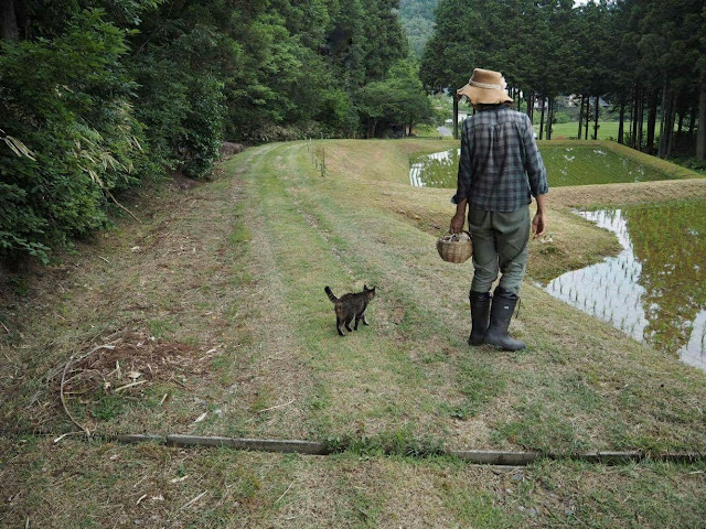  北欧の暮らしを夢見て菜園生活