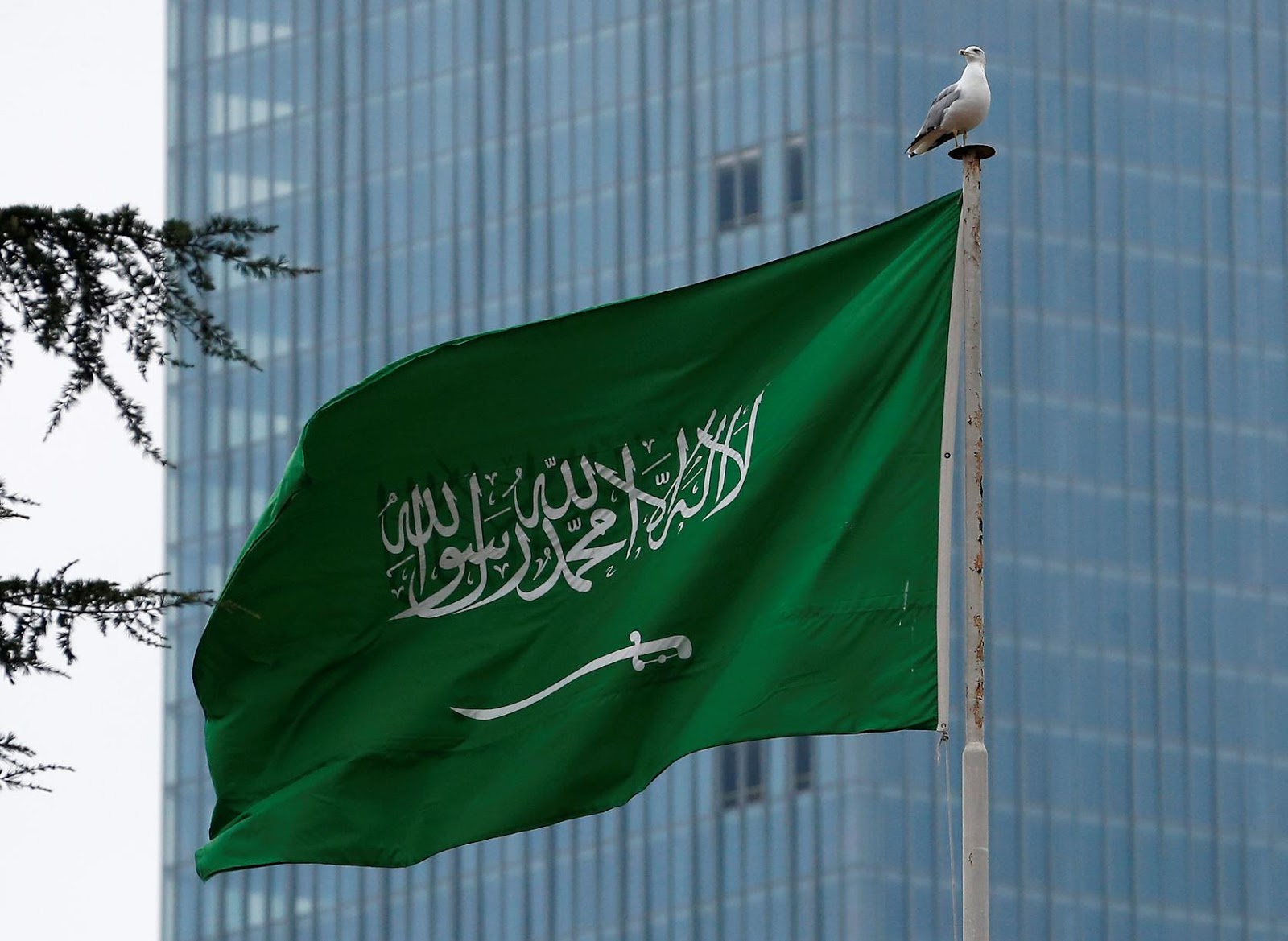 علم السعودية القديم