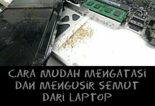 Cara Mudah Mengatasi Dan Mengusir Laptop Kemasukan Semut Infoteknikindustri Com