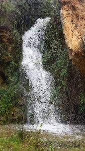 La Font de las Donas, Millares