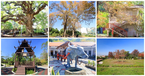 台中太平古農莊文物館、四百年大樟樹、貓頭鷹步道、楓香林榭道、頂坪公園