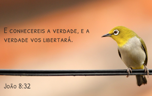 "Ante os conflitos mentais com que somos defrontados, habituamo-nos a falar em desobsessão, liberação, cura espiritual, sedação, socorro magnético e, efetivamente, é impossível negar o valor dessas formas de auxílio.  Cabe-nos, porém, reconhecer que a renovação íntima é o fator básico de todo reequilíbrio nesse sentido.  Daí procede, leitor amigo, a organização deste volume despretensioso, englobando avisos, apelos, comentários e lembretes de irmãos para irmãos, no propósito de estudarmos juntos as nossas próprias necessidades.  Compreendamos que atuar no rendimento do bem de todos; projetar a luz da instrução sobre os labirintos da ignorância; efetuar o próprio burilamento; promover iniciativas de solidariedade; praticar a abnegação e realizar o melhor que possamos fazer de nós, onde estejamos, são alguns dos programas de ação que a todos nós compete.  Por isso mesmo, todos aqueles companheiros da Humanidade que não mais desejam:    zelar pela própria apresentação;  aprender uma lição nova;  multiplicar os interesses de viver;  acentuar estudos para discernir com mais segurança;  partilhar campanhas de educação e beneficência;  aperfeiçoar-se na profissão;  prestar serviço ao próximo;  adaptar-se a novidades construtivas; acompanhar o progresso;  aprimorar expressões e maneiras;  altear ideias e emoções;  ler um livro recente;  adquirir mais cultura;  recomeçar um empreendimento que o fracasso esmagou;  aumentar o número das afeições;  sofrer complicações em favor dos amigos;  criar novos recursos de atividade edificante, em torno de si mesmo.    Todos aqueles, enfim, que desistiram de qualquer transformação na própria senda, renunciando no dever de melhorar-se, mais e sempre, se fazem menos permeáveis ao apoio curativo ou libertador, seja com a intervenção da Ciência ou com o amparo da Religião.  Este livro é, desse modo, um convite a que nos desagarremos das sombras do desânimo ou da inércia, onde surjam, para nos colocarmos todos no encalço das realidades do Espírito, em nós mesmos, recordando a advertência do Mestre Inolvidável: “conhecereis a verdade, e a verdade vos fará livres”¹.   E estejamos convencidos de que marchar para a verdade será sempre transitar para diante nos caminhos do burilamento e do trabalho, da renovação e da luz.    Chico Xavier e Emmanuel, no prefácio de 'Paz e Renovação'