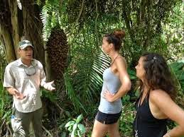 Highest rated excursions, restaurants, and activities in Placencia, Belize, by our guests...updated! 10 Remax Vip Belize: Cockscomb Jaguar Preserve