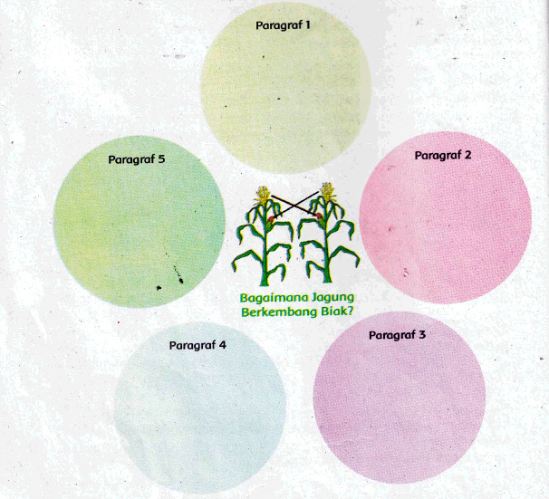 Terlengkap Kunci Soal Buku SD Kelas 6 Tema 1 Subtema 1