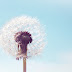 Coping Strategies For The Highly Sensitive Person