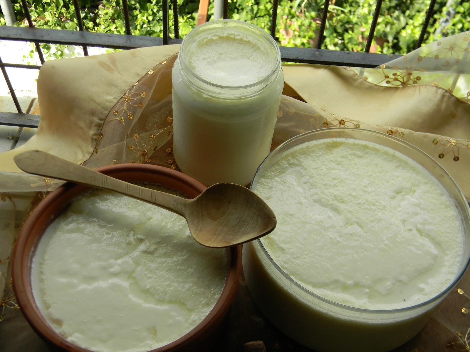 Fırında Yoğurt Mayalama Vişnap