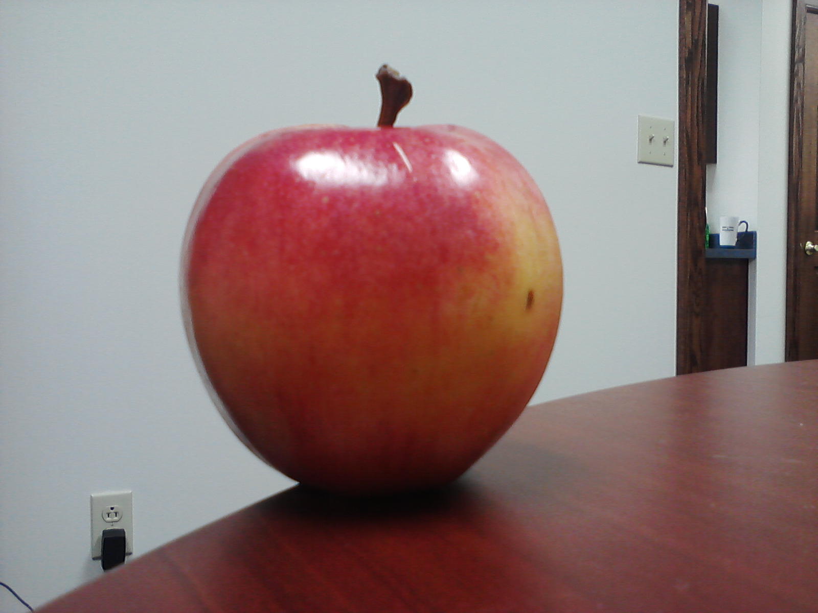 Kingston University USA Blog ESL in Pictures Singular and Plural Nouns