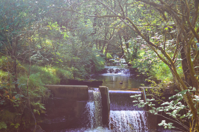 Brecon Beacons, South Wales with Children, exploring the Brecon beacons, Garwnant visitor centre