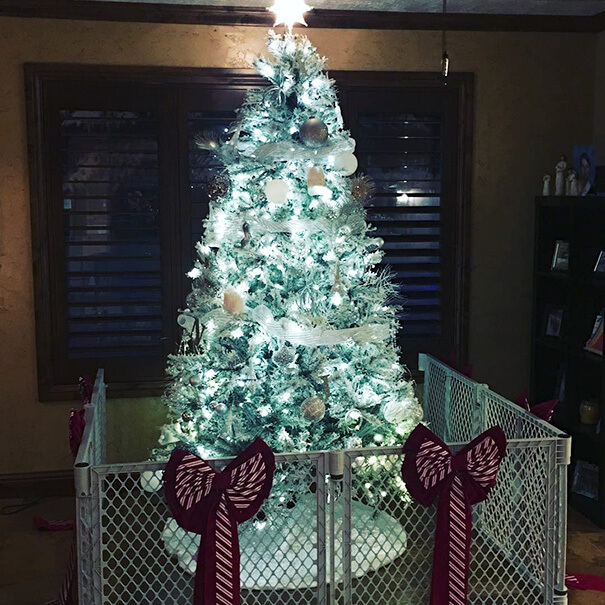 These Geniuses Found A Way To Protect Their Christmas Trees From Their Cats And Dogs These Geniuses Found A Way To Protect Their Christmas Trees From Their Cats And Dogs