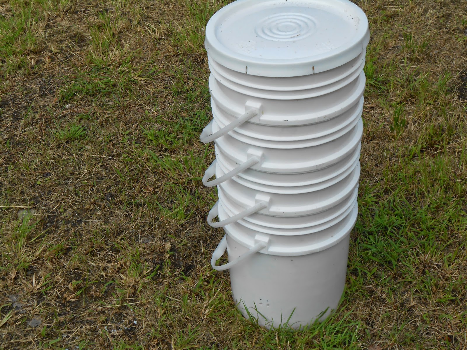 My Tropical Organic Garden Homemade Bin Design