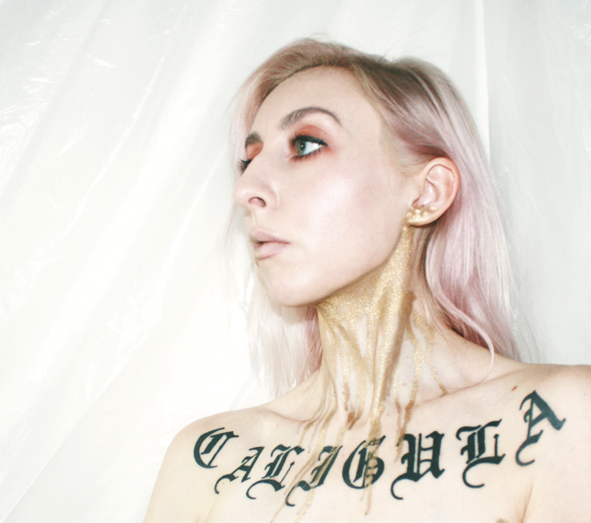 Lingua ignota musician image