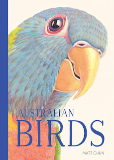 other birds by sarah addison allen other birds by sarah addison allen